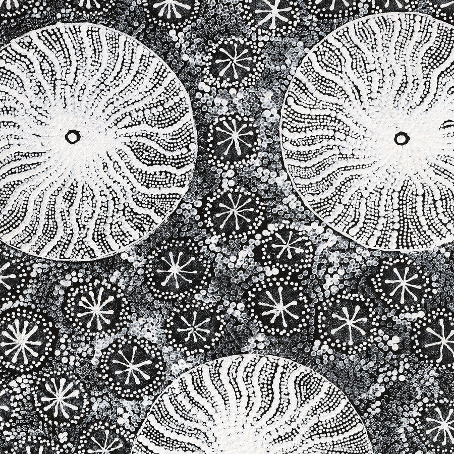 Aboriginal Artwork by Dulcie Nangala Frank, Ngarlkirdi Jukurrpa (Witchetty Grub Dreaming), 76x46cm