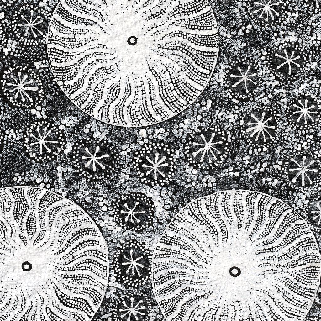 Aboriginal Artwork by Dulcie Nangala Frank, Ngarlkirdi Jukurrpa (Witchetty Grub Dreaming), 76x46cm