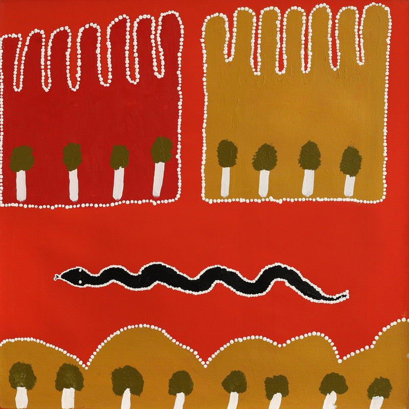 Aboriginal Artwork by Ena Fly, My father’s country - Lupul Tjukurrpa, 60x60cm