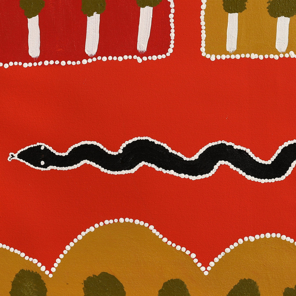 Aboriginal Artwork by Ena Fly, My father’s country - Lupul Tjukurrpa, 60x60cm