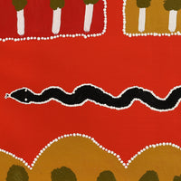 Aboriginal Artwork by Ena Fly, My father’s country - Lupul Tjukurrpa, 60x60cm