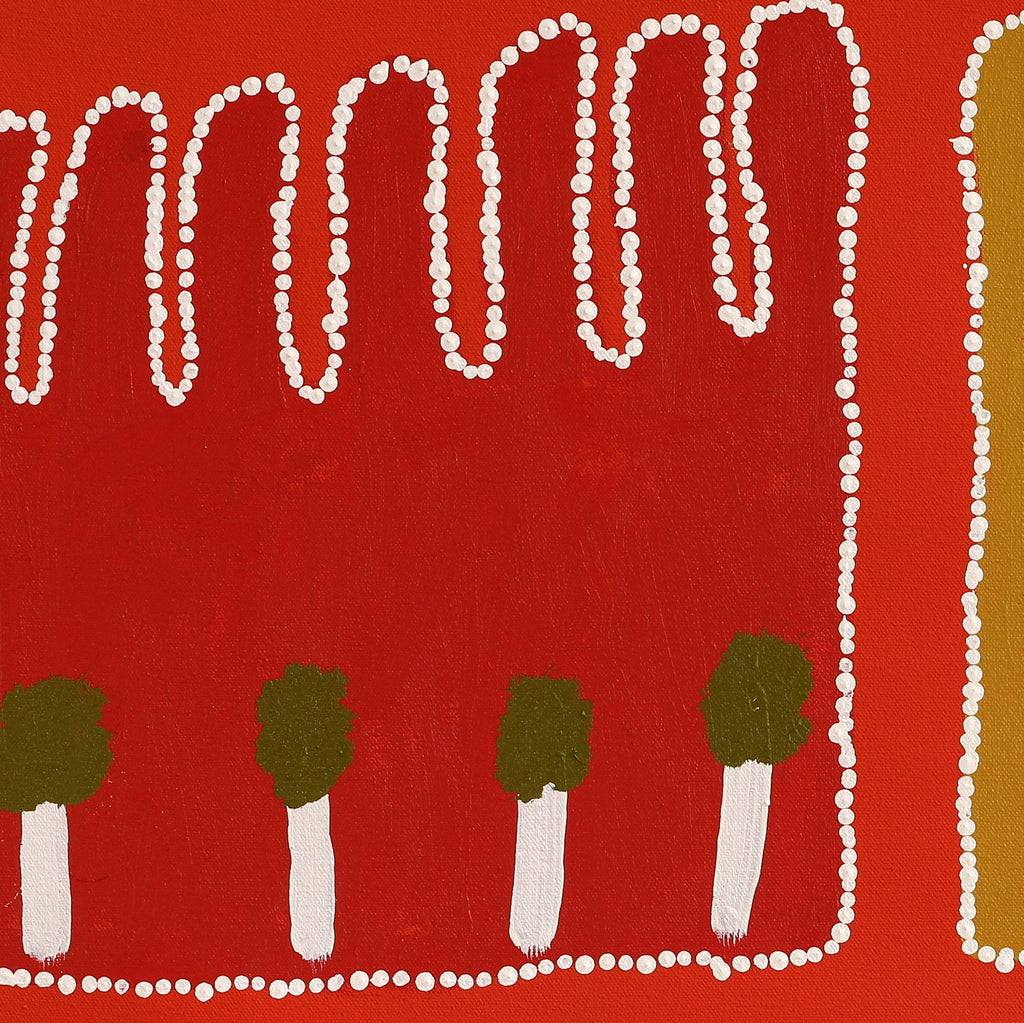 Aboriginal Artwork by Ena Fly, My father’s country - Lupul Tjukurrpa, 60x60cm