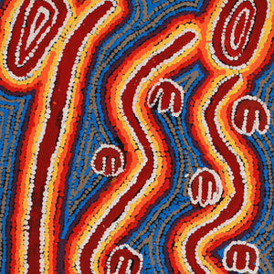 Aboriginal Art by Erica Napurrurla Ross,  Janganpa Jukurrpa (Brush-tail Possum Dreaming)-  Mawurrji, 76x30cm - ART ARK®