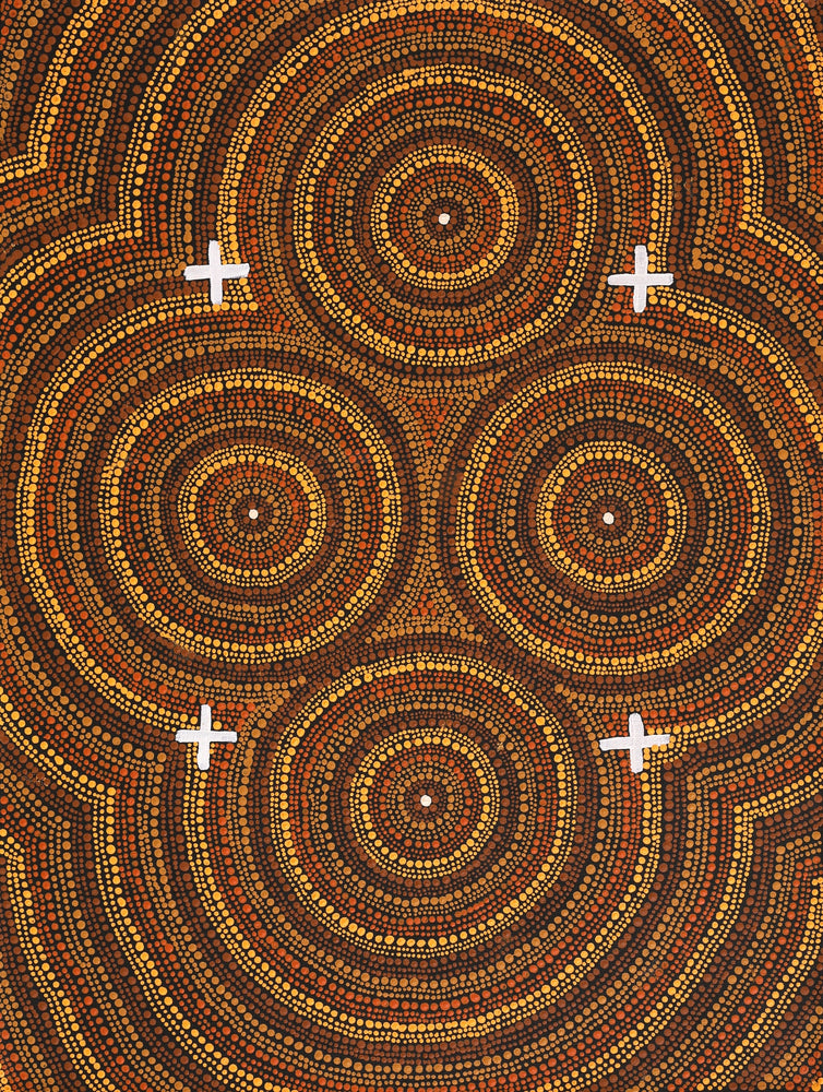 Aboriginal Artwork by Erlinda Napaljarri Gallagher, Ngatijirri Jukurrpa (Budgerigar Dreaming), 61x46cm