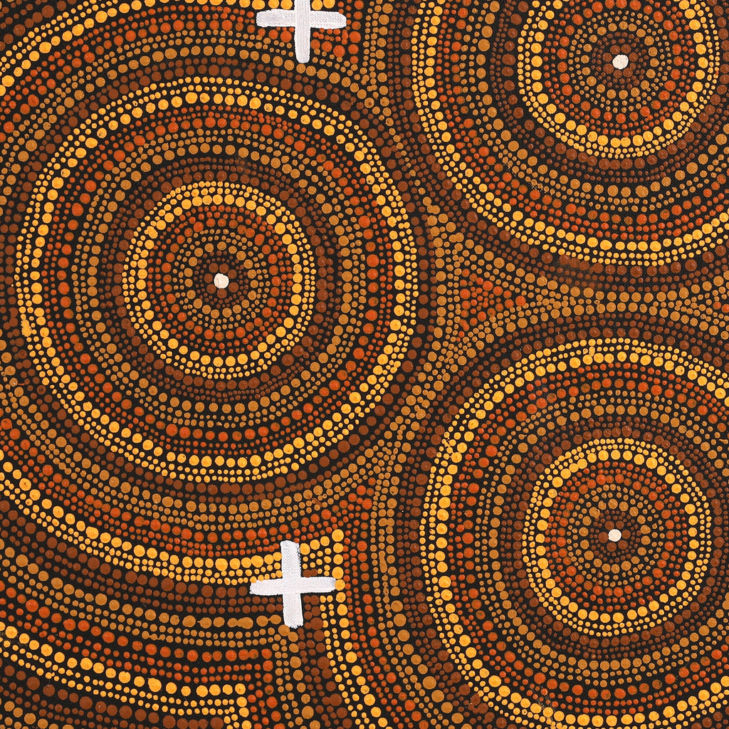 Aboriginal Artwork by Erlinda Napaljarri Gallagher, Ngatijirri Jukurrpa (Budgerigar Dreaming), 61x46cm