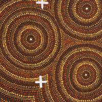 Aboriginal Artwork by Erlinda Napaljarri Gallagher, Ngatijirri Jukurrpa (Budgerigar Dreaming), 61x46cm