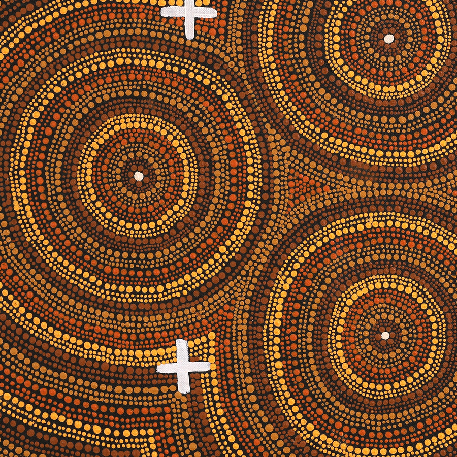 Aboriginal Artwork by Erlinda Napaljarri Gallagher, Ngatijirri Jukurrpa (Budgerigar Dreaming), 61x46cm