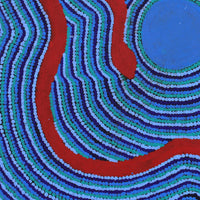 Aboriginal Artwork by Ezekiel Jakamarra James, Warna Jukurrpa (Snake Dreaming), 46x46cm