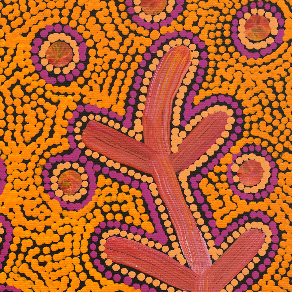 Aboriginal Artwork by Faye Nangala Hudson, Warlukurlangu Jukurrpa (Fire country Dreaming), 30x30cm