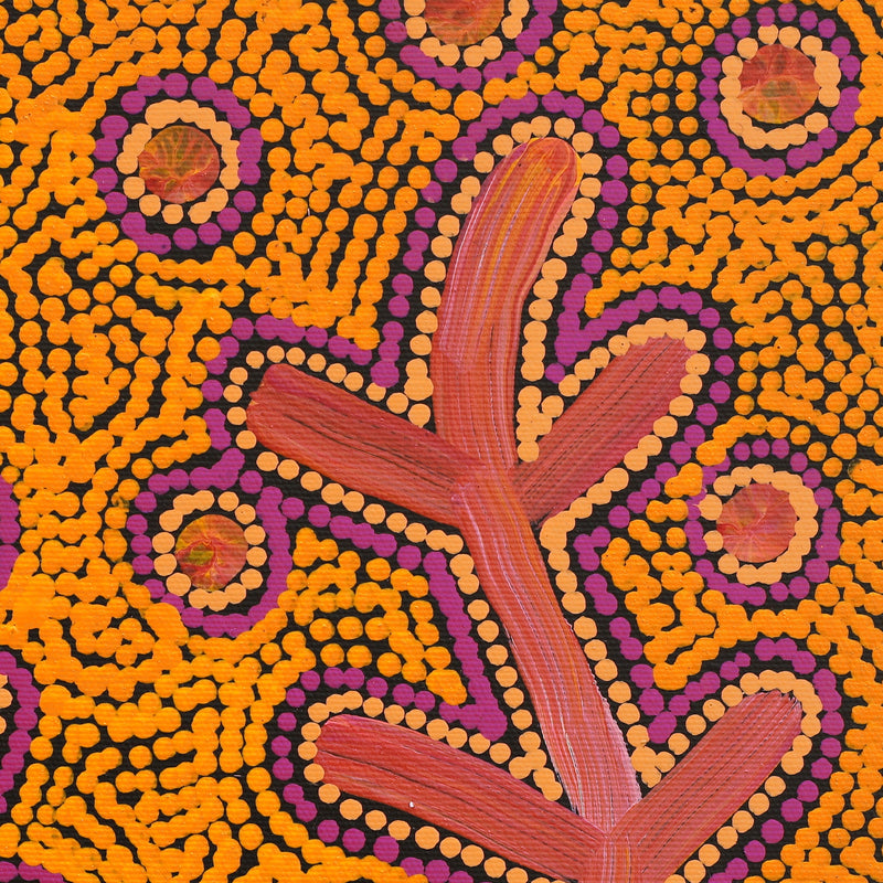 Aboriginal Artwork by Faye Nangala Hudson, Warlukurlangu Jukurrpa (Fire country Dreaming), 30x30cm