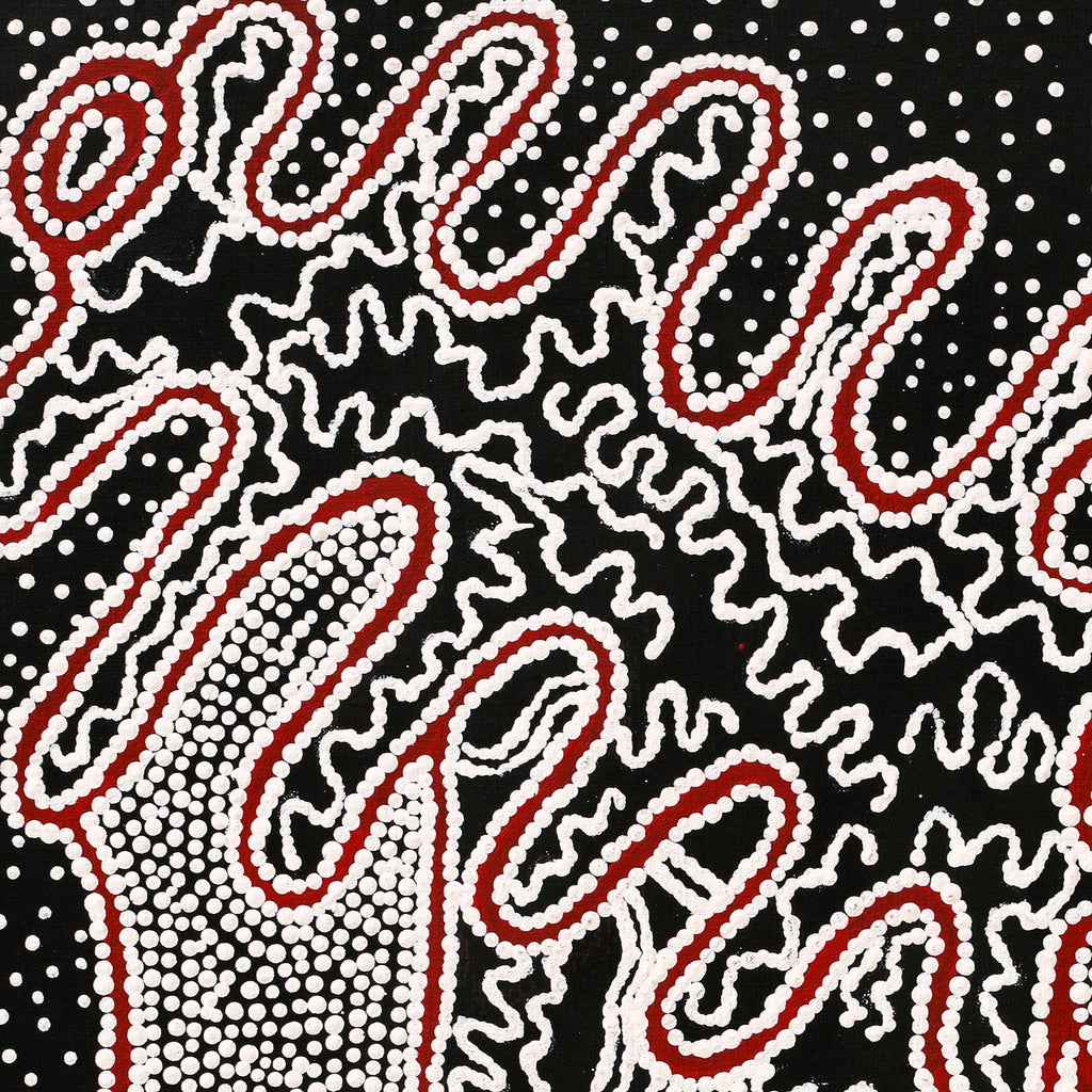 Aboriginal Artwork by Felicity Nampijinpa Robertson, Ngapa Jukurrpa (Water Dreaming) - Puyurru, 76x46cm