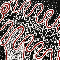 Aboriginal Artwork by Felicity Nampijinpa Robertson, Ngapa Jukurrpa (Water Dreaming) - Puyurru, 76x46cm