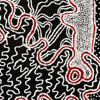 Aboriginal Artwork by Felicity Nampijinpa Robertson, Ngapa Jukurrpa (Water Dreaming) - Puyurru, 76x46cm