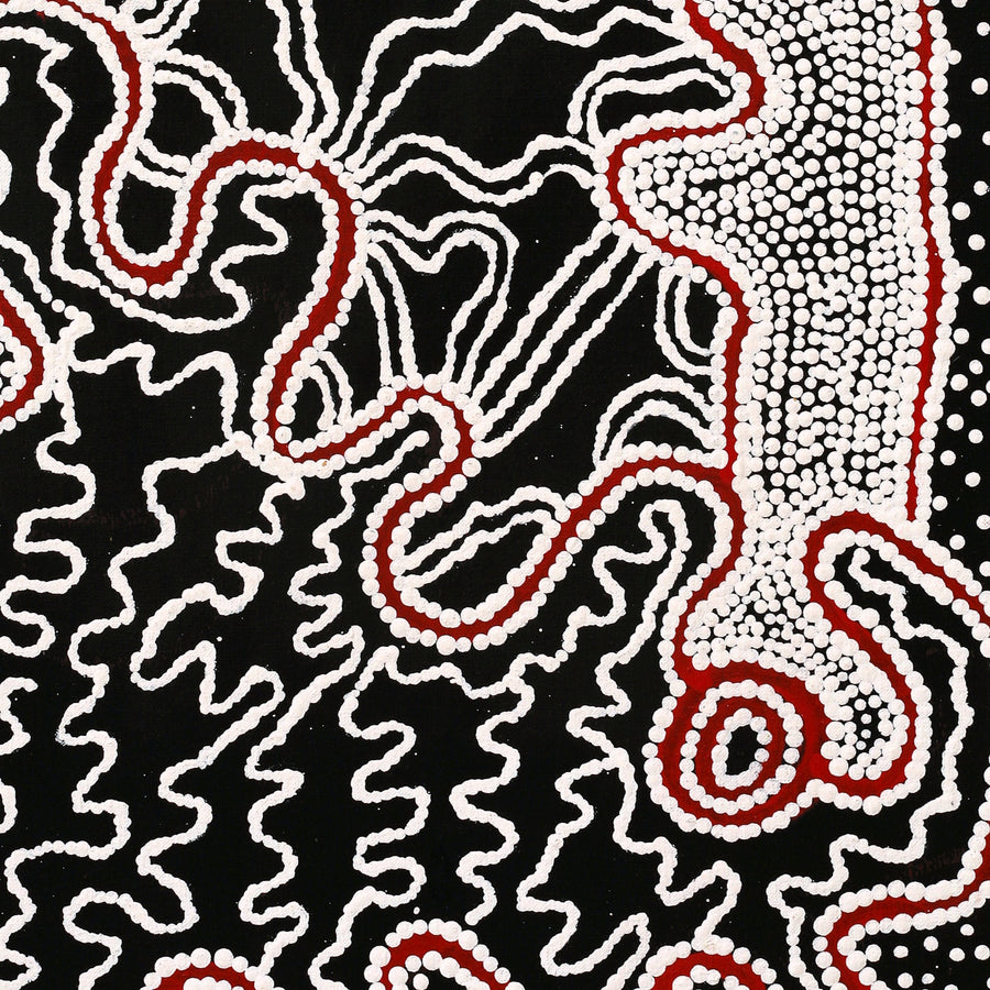 Aboriginal Artwork by Felicity Nampijinpa Robertson, Ngapa Jukurrpa (Water Dreaming) - Puyurru, 76x46cm