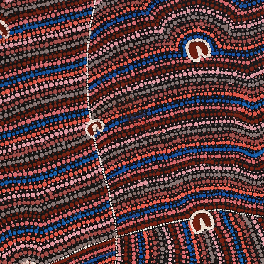 Aboriginal Artwork by Florence Nungarrayi Tex, Lappi Lappi Jukurrpa, 122x46cm