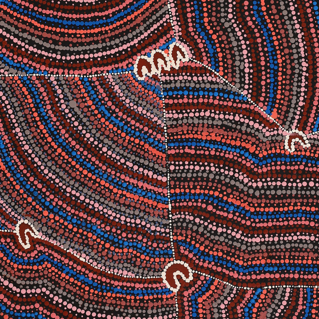 Aboriginal Artwork by Florence Nungarrayi Tex, Lappi Lappi Jukurrpa, 122x46cm