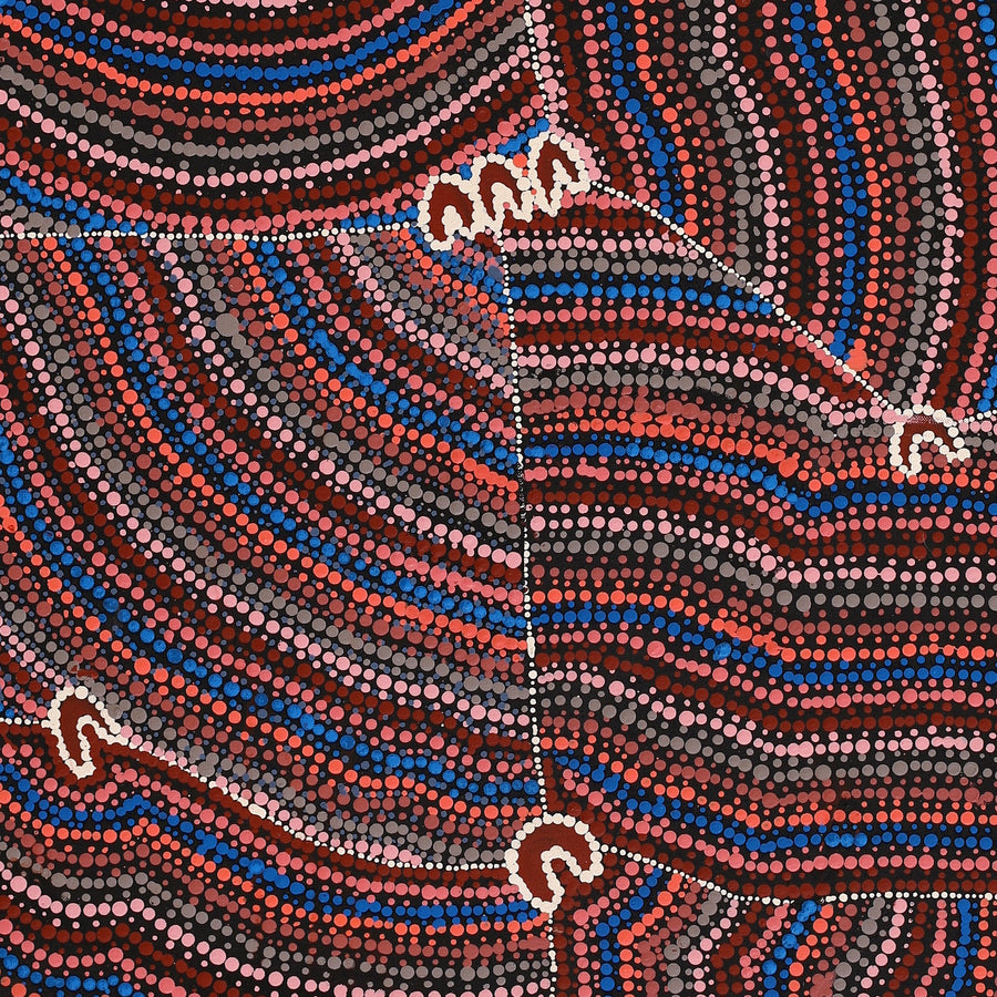 Aboriginal Artwork by Florence Nungarrayi Tex, Lappi Lappi Jukurrpa, 122x46cm