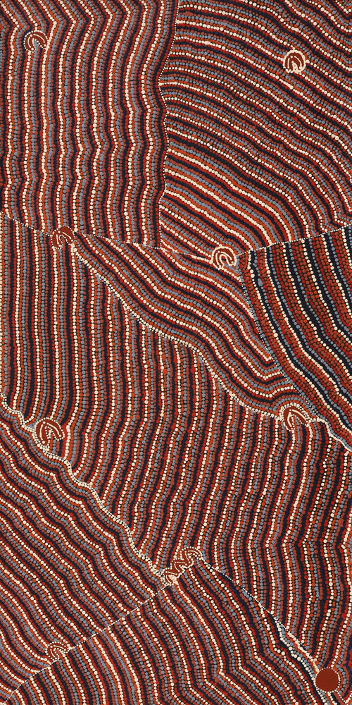 Aboriginal Artwork by Florence Nungarrayi Tex, Lappi Lappi Jukurrpa, 122x61cm
