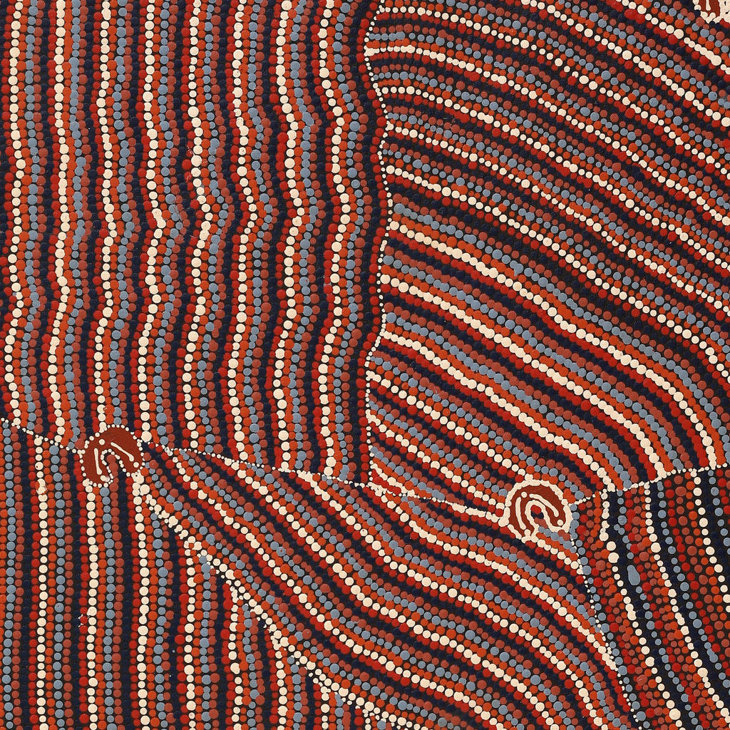 Aboriginal Artwork by Florence Nungarrayi Tex, Lappi Lappi Jukurrpa, 122x61cm
