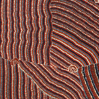 Aboriginal Artwork by Florence Nungarrayi Tex, Lappi Lappi Jukurrpa, 122x61cm