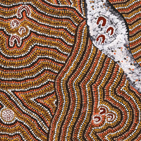 Aboriginal Artwork by Florence Nungarrayi Tex, Lappi Lappi Jukurrpa, 122x61cm