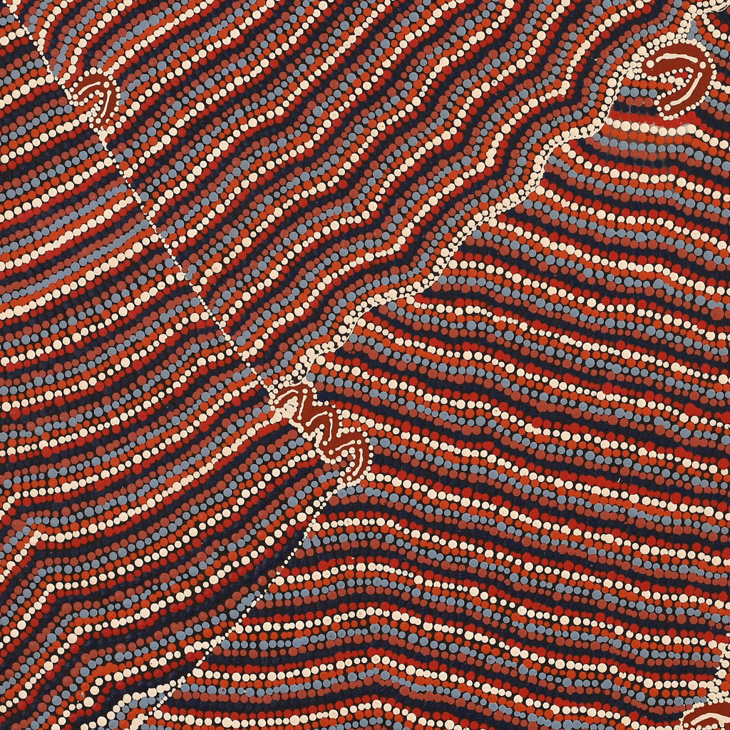 Aboriginal Artwork by Florence Nungarrayi Tex, Lappi Lappi Jukurrpa, 122x61cm