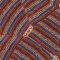 Aboriginal Artwork by Florence Nungarrayi Tex, Lappi Lappi Jukurrpa, 122x61cm