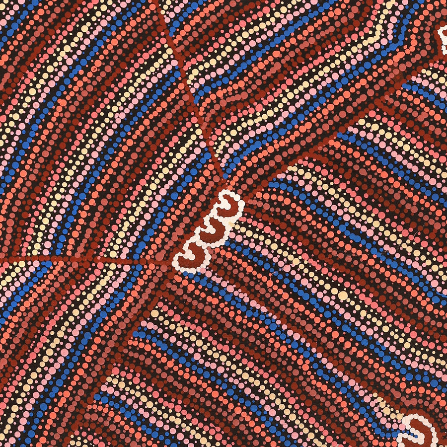 Aboriginal Artwork by Florence Nungarrayi Tex, Lappi Lappi Jukurrpa, 122x61cm