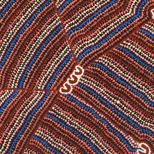 Aboriginal Artwork by Florence Nungarrayi Tex, Lappi Lappi Jukurrpa, 122x61cm - ART ARK®