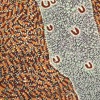 Aboriginal Artwork by Florence Nungarrayi Tex, Lappi Lappi Jukurrpa, 76x46cm