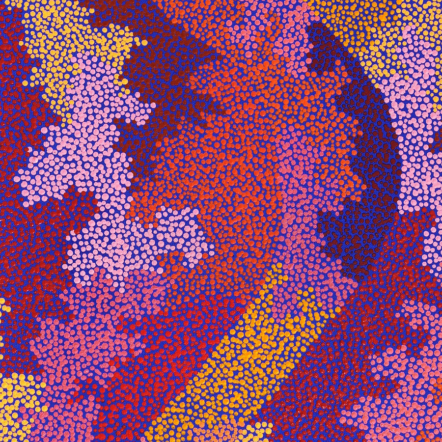 Aboriginal Artwork by Francis Marshall, Wanampi Tjukurrpa (Snake Dreaming), 100x40cm