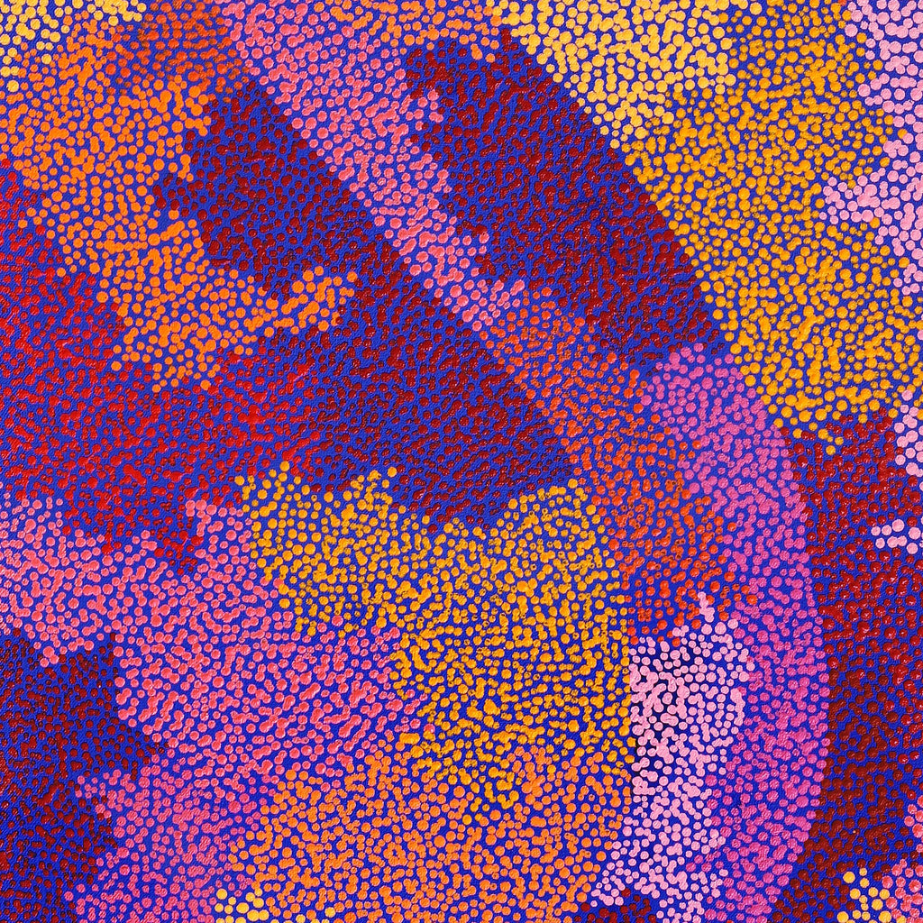 Aboriginal Artwork by Francis Marshall, Wanampi Tjukurrpa (Snake Dreaming), 100x40cm
