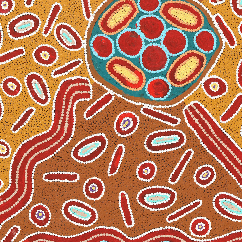 Aboriginal Artwork by Freda Napaljarri Jurrah, Ngalyipi Jukurrpa (Snake Vine Dreaming) - Yanjirlpiri, 91x76cm