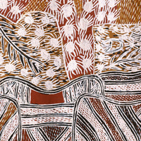 Aboriginal Artwork by Galuma Maymuru, Gunyan, 70x51cm Bark