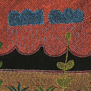Aboriginal Art by Geraldine Napangardi Granites, Jurlpu kuja kalu nyinami Yurntumu-wana (Birds that live around Yuendumu), 76x76cm - ART ARK®