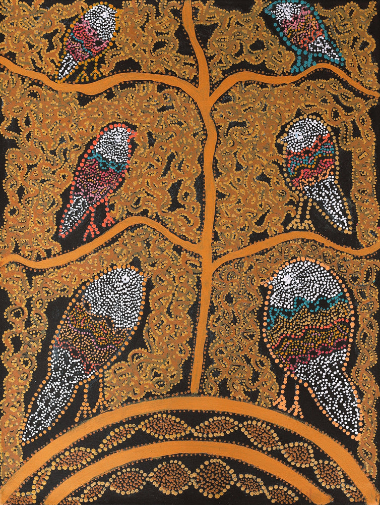 Aboriginal Artwork by Geraldine Napangardi Granites, Ngalyipi Jukurrpa (Snake Vine Dreaming) - Purturlu, 61x46cm