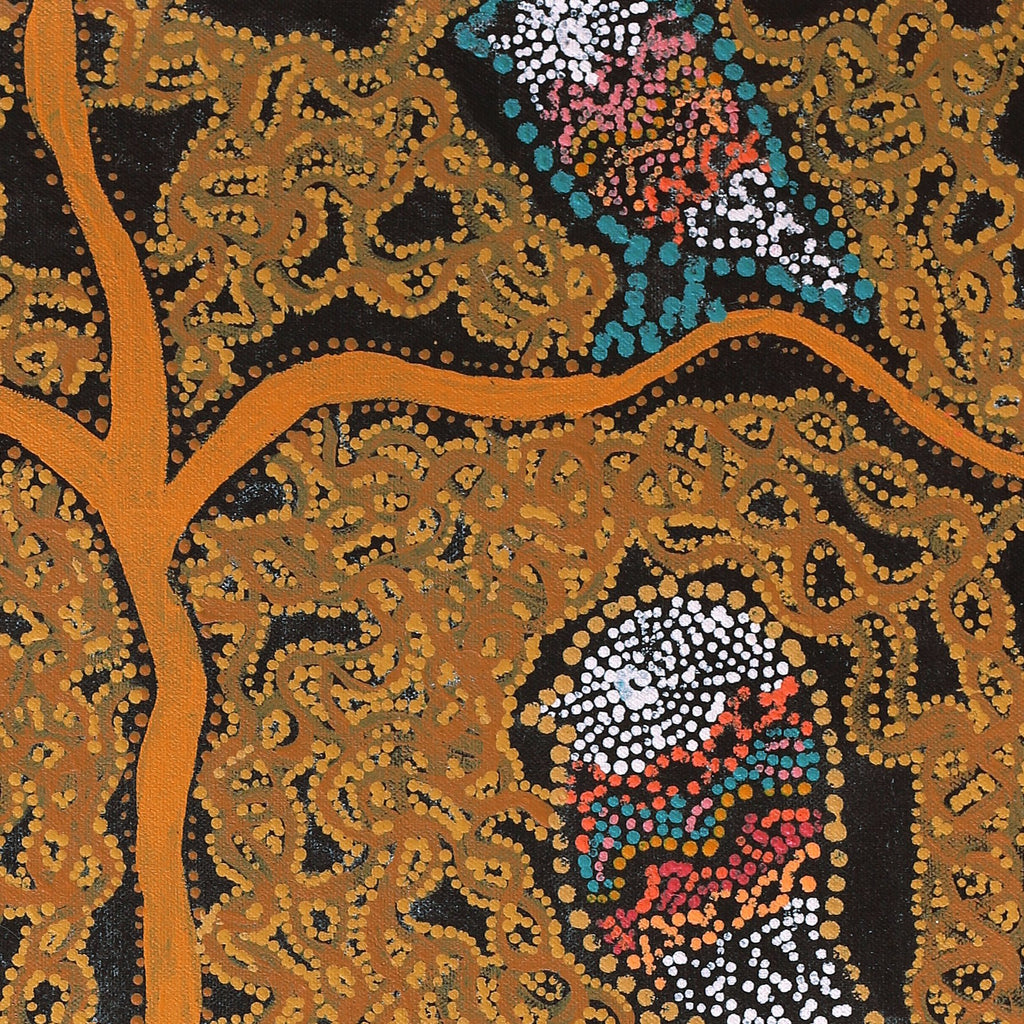 Aboriginal Artwork by Geraldine Napangardi Granites, Ngalyipi Jukurrpa (Snake Vine Dreaming) - Purturlu, 61x46cm