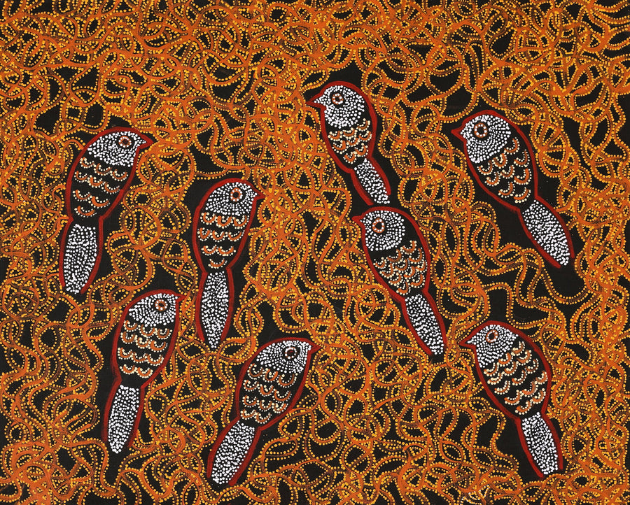 Aboriginal Artwork by Geraldine Napangardi Granites, Ngalyipi Jukurrpa (Snake Vine Dreaming) - Purturlu, 76x61cm