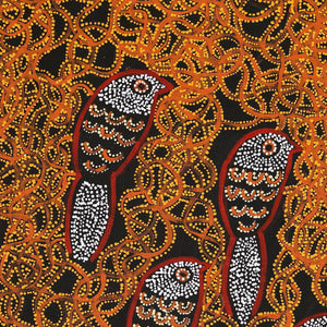 Aboriginal Artwork by Geraldine Napangardi Granites, Ngalyipi Jukurrpa (Snake Vine Dreaming) - Purturlu, 76x61cm - ART ARK®