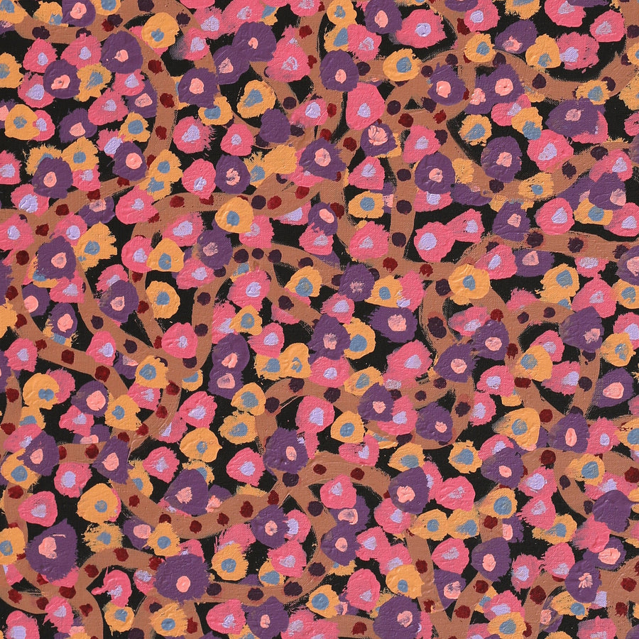 Aboriginal Artwork by Geraldine Napangardi Granites, Ngalyipi Jukurrpa (Snake Vine Dreaming) - Yanjirlpiri, 107x61cm