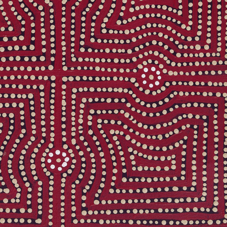Aboriginal Artwork by Gloria Napangardi Gill, Lukarrara Jukurrpa, 61x46cm
