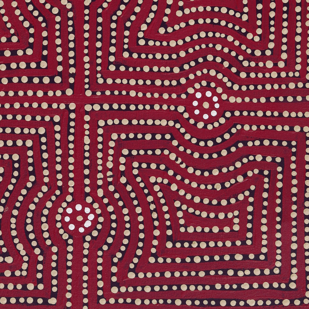Aboriginal Artwork by Gloria Napangardi Gill, Lukarrara Jukurrpa, 61x46cm - ART ARK®