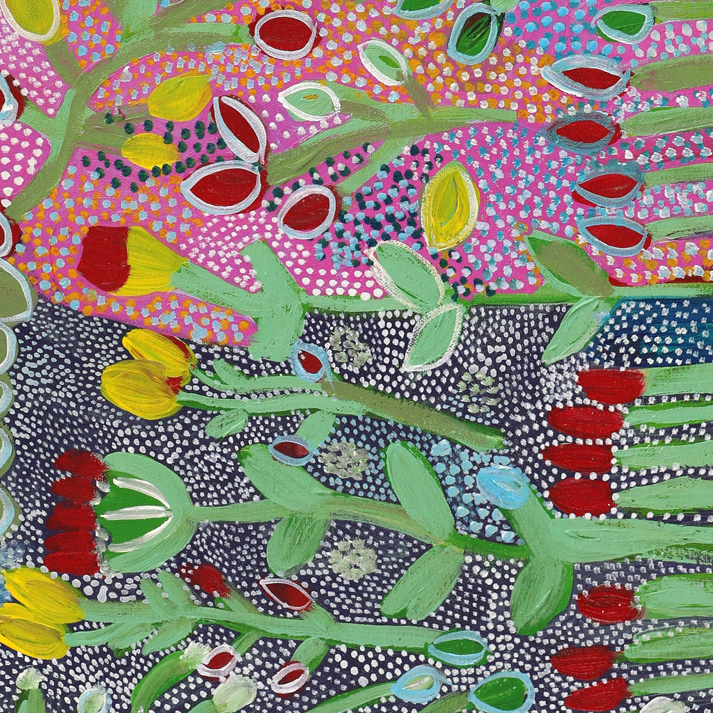 Aboriginal Artwork by Gwenneth Blitner, Bush Banana, 80x30cm