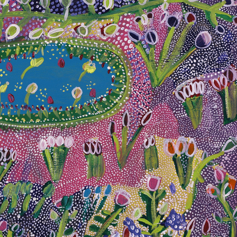 Aboriginal Artwork by Gwenneth Blitner, Walmadja, 60x45cm
