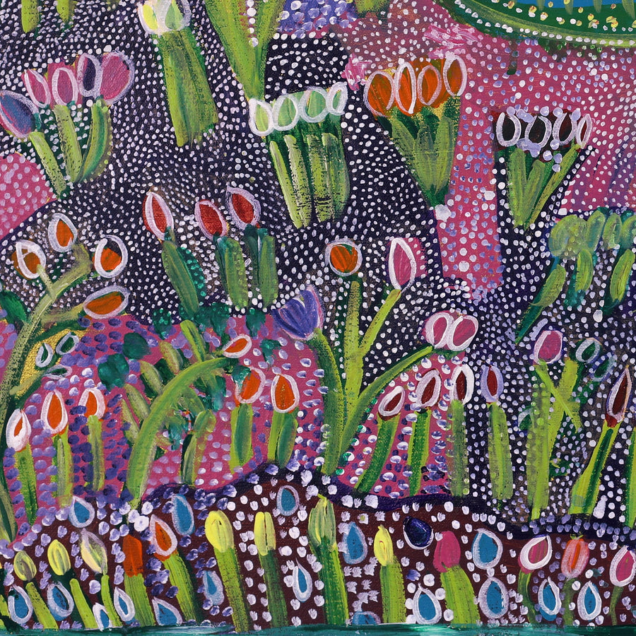 Aboriginal Artwork by Gwenneth Blitner, Walmadja, 60x45cm