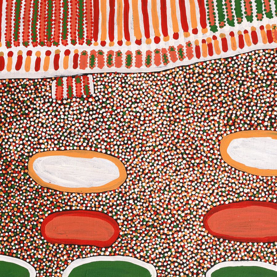 Aboriginal Artwork by Helen Nungarrayi Reed, Lupul Jukurrpa, 183x107cm