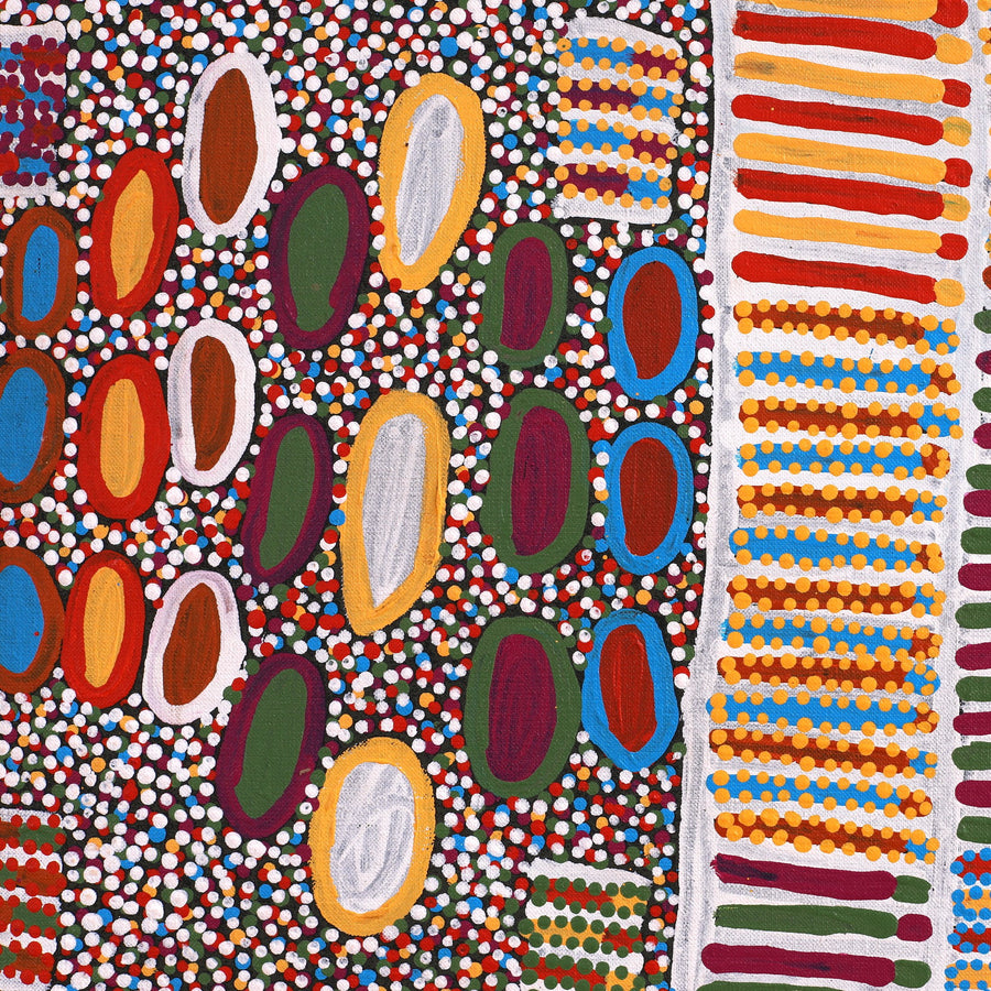 Aboriginal Artwork by Helen Nungarrayi Reed, Lupul Jukurrpa, 91x91cm