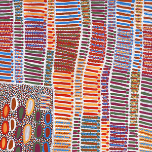 Aboriginal Art by Helen Nungarrayi Reed, Lupul Jukurrpa, 91x91cm - ART ARK®
