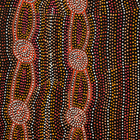 Aboriginal Artwork by Helen Nungarrayi Reed, Mina Mina Dreaming - Ngalyipi, 61x61cm
