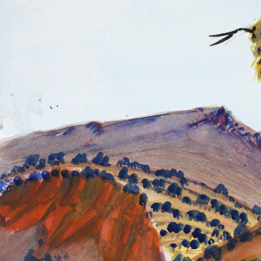 Aboriginal Artwork by Ivy Pareroultja, West Macdonnell Ranges, 36.5x26.5cm